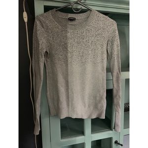 Express Glitter Sweater